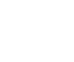 carl_google_shopping